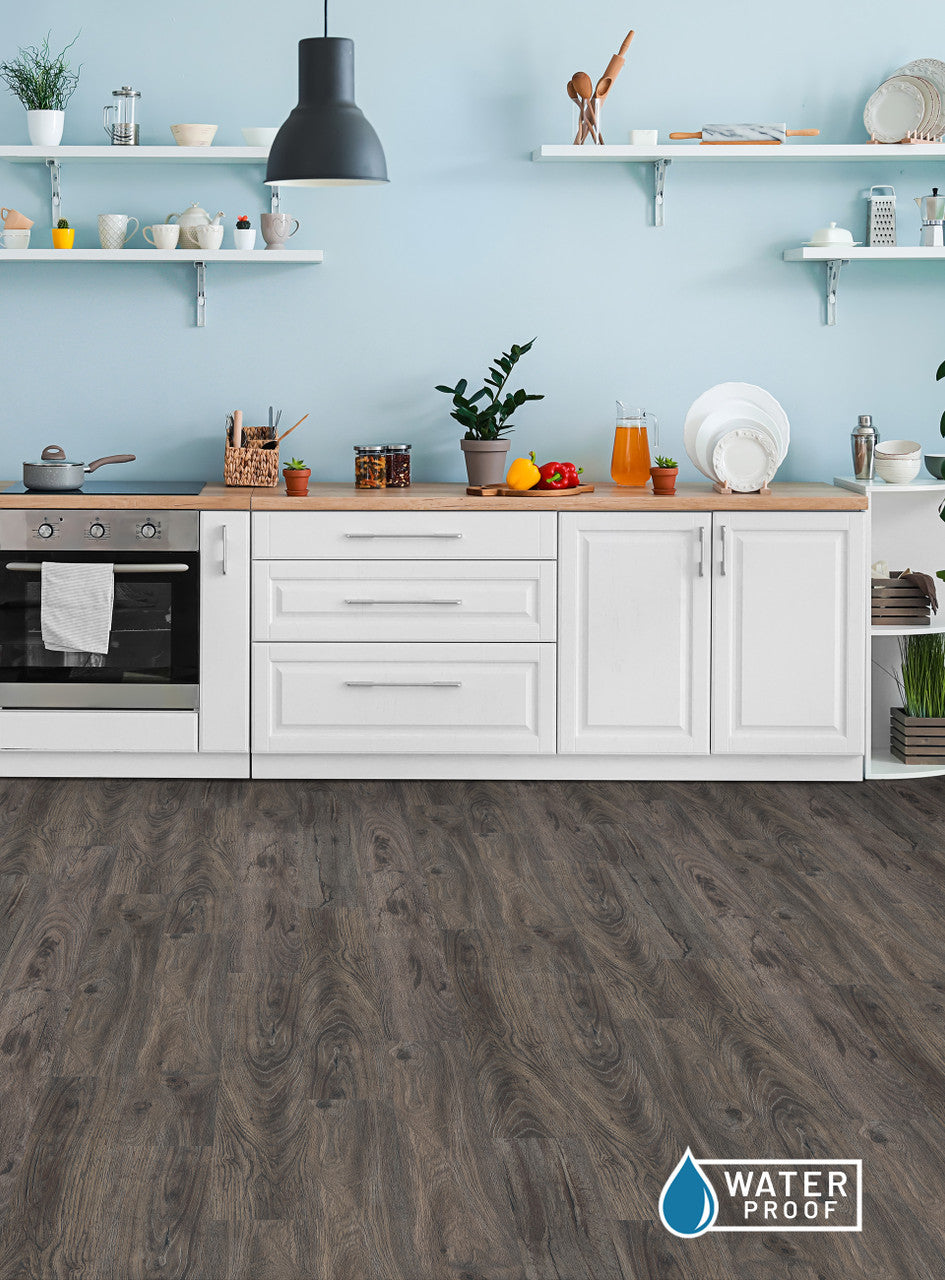 New Standard II Caico