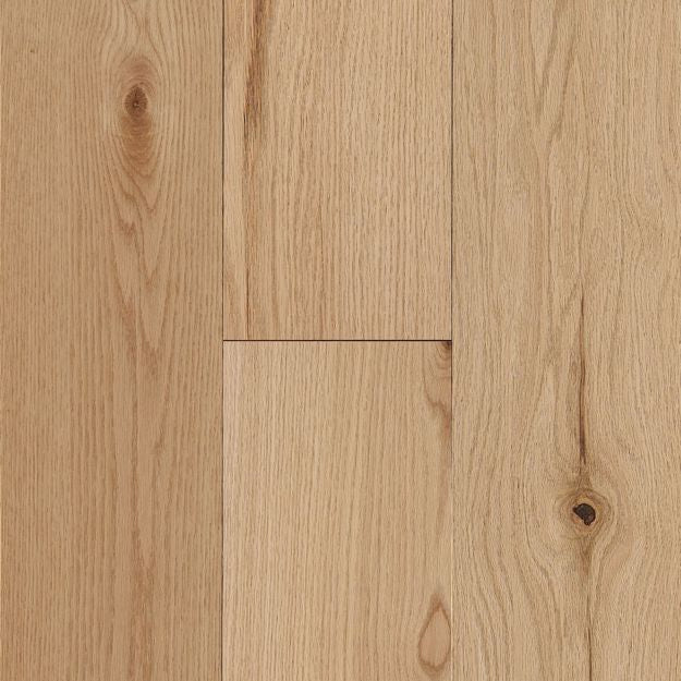 Sunset Traditionalist