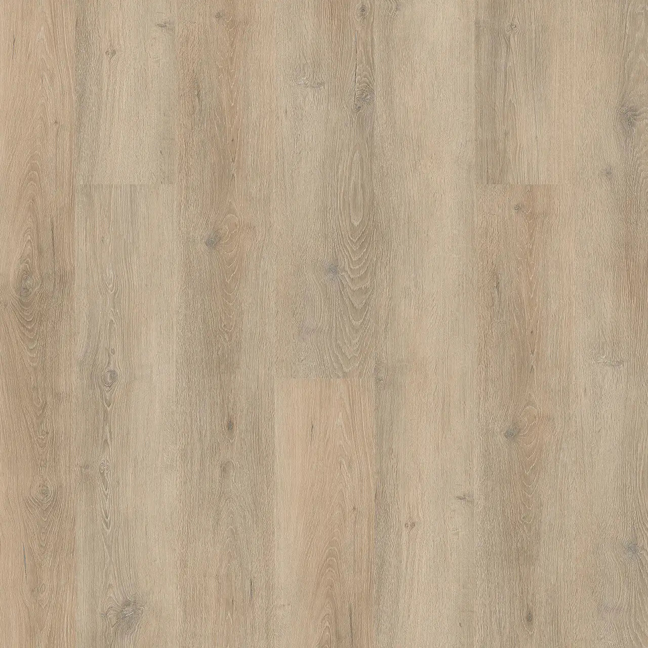 New Standard Plus Clearwater