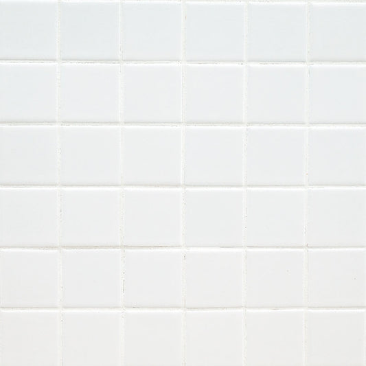 Domino White 2x2 Matte